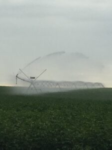 IMG_0680