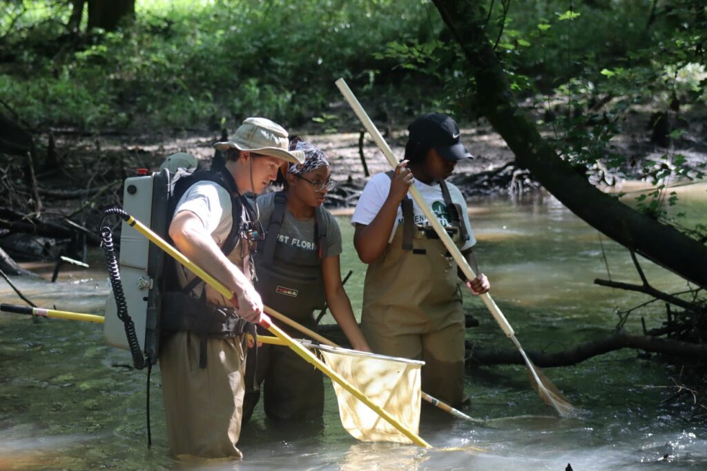 Students colllecting fish at Chokee Creek med