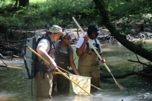 Students colllecting fish at Chokee Creek med