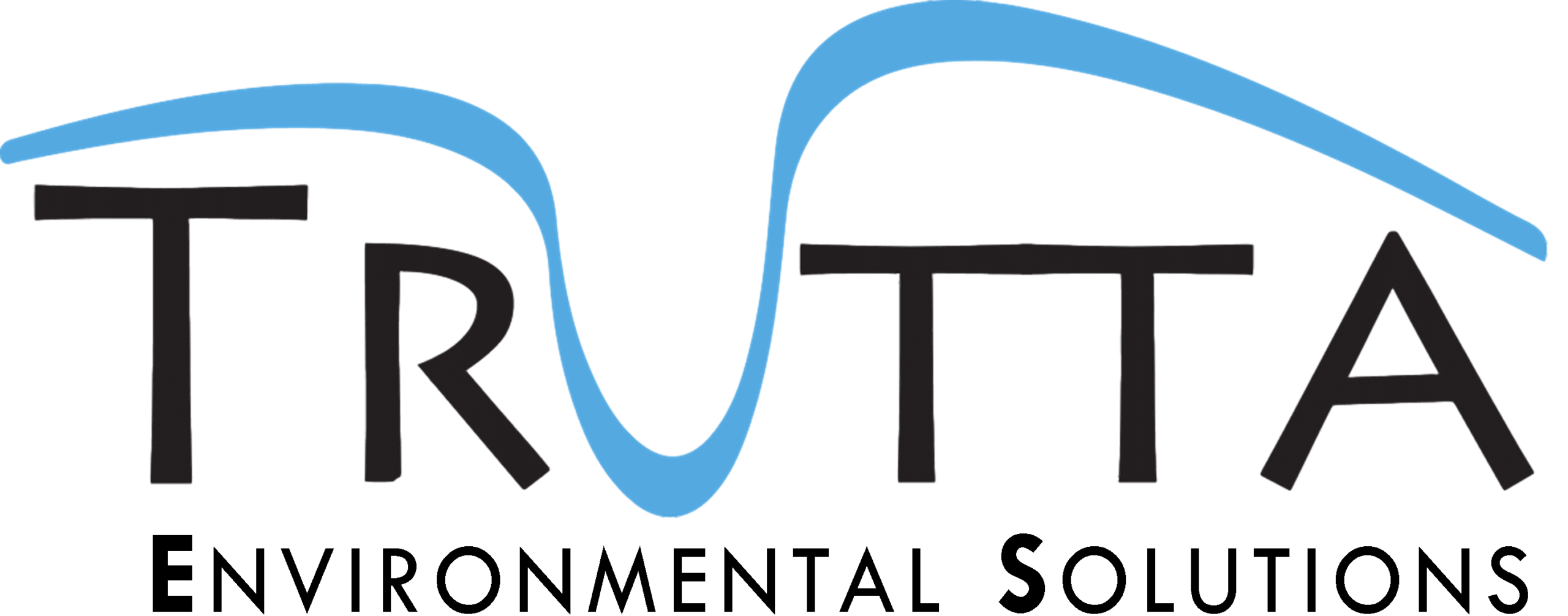 TES Black Logo