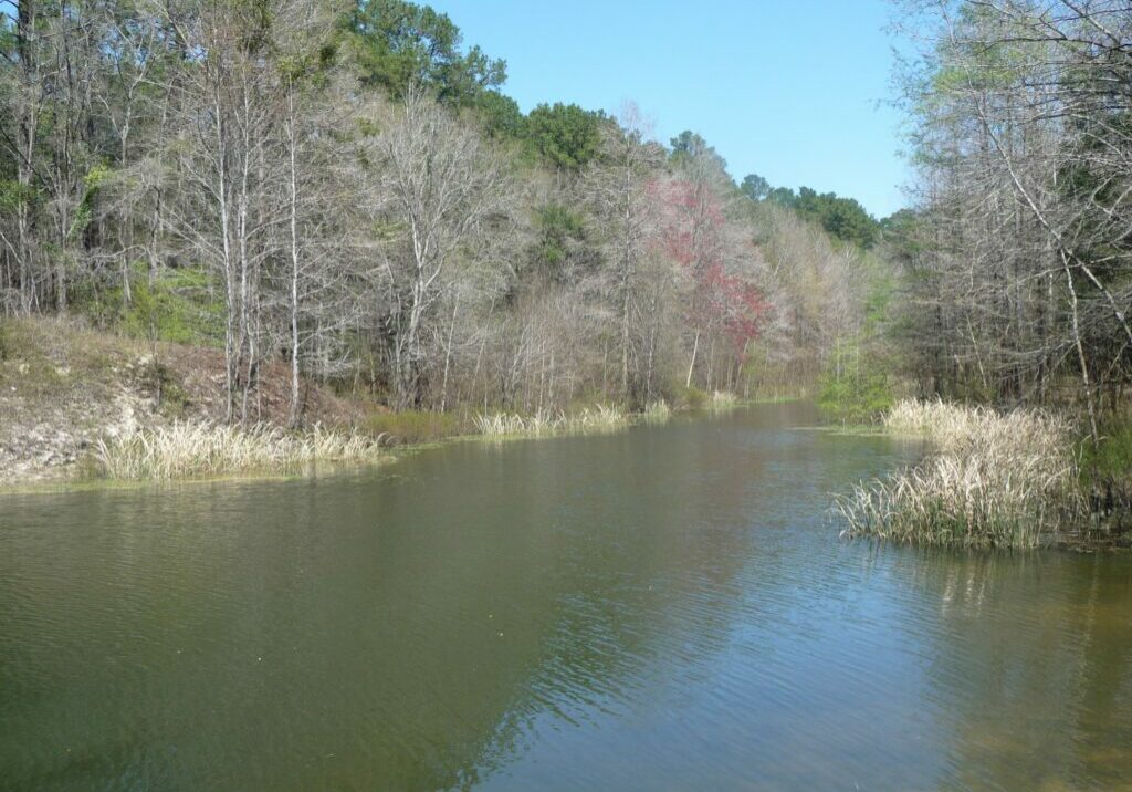 Big Slough